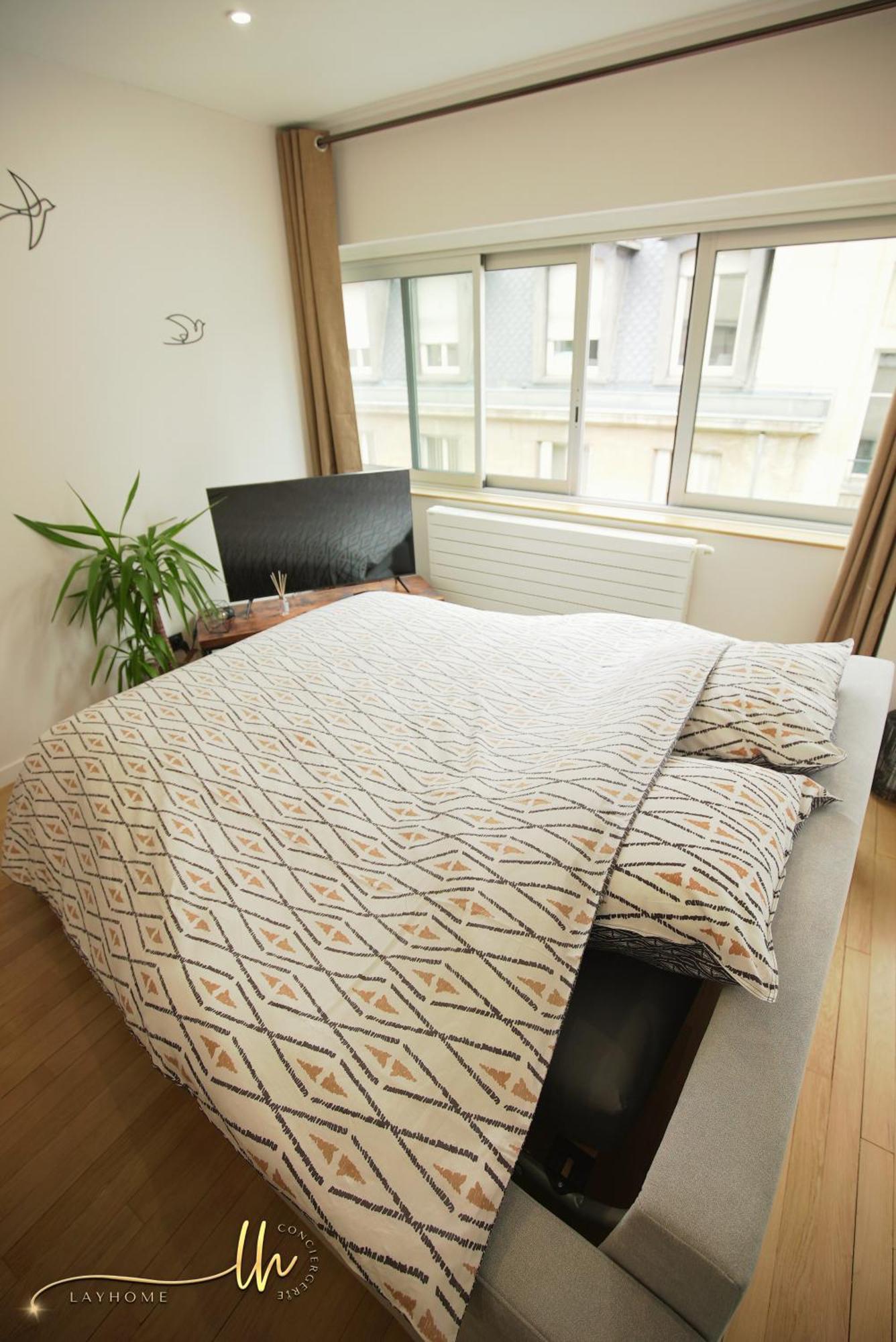 Chaleureux, Lumineux Et Confortable F2 Renove En Plein Coeur De Nancy Eksteriør billede